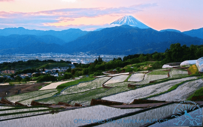 絶景棚田
